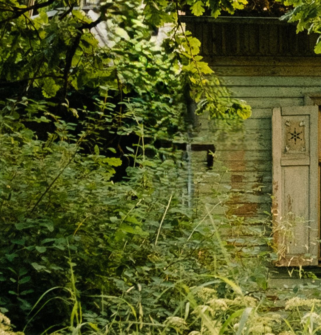 The Sylvan Lady of the Old House